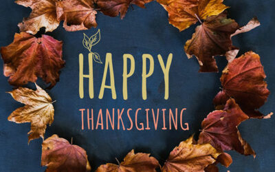 HAPPY THANKSGIVING – ALL THE SALES